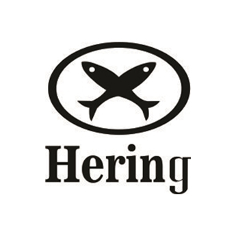 hering-consultoria-ecommerce-usabilidade